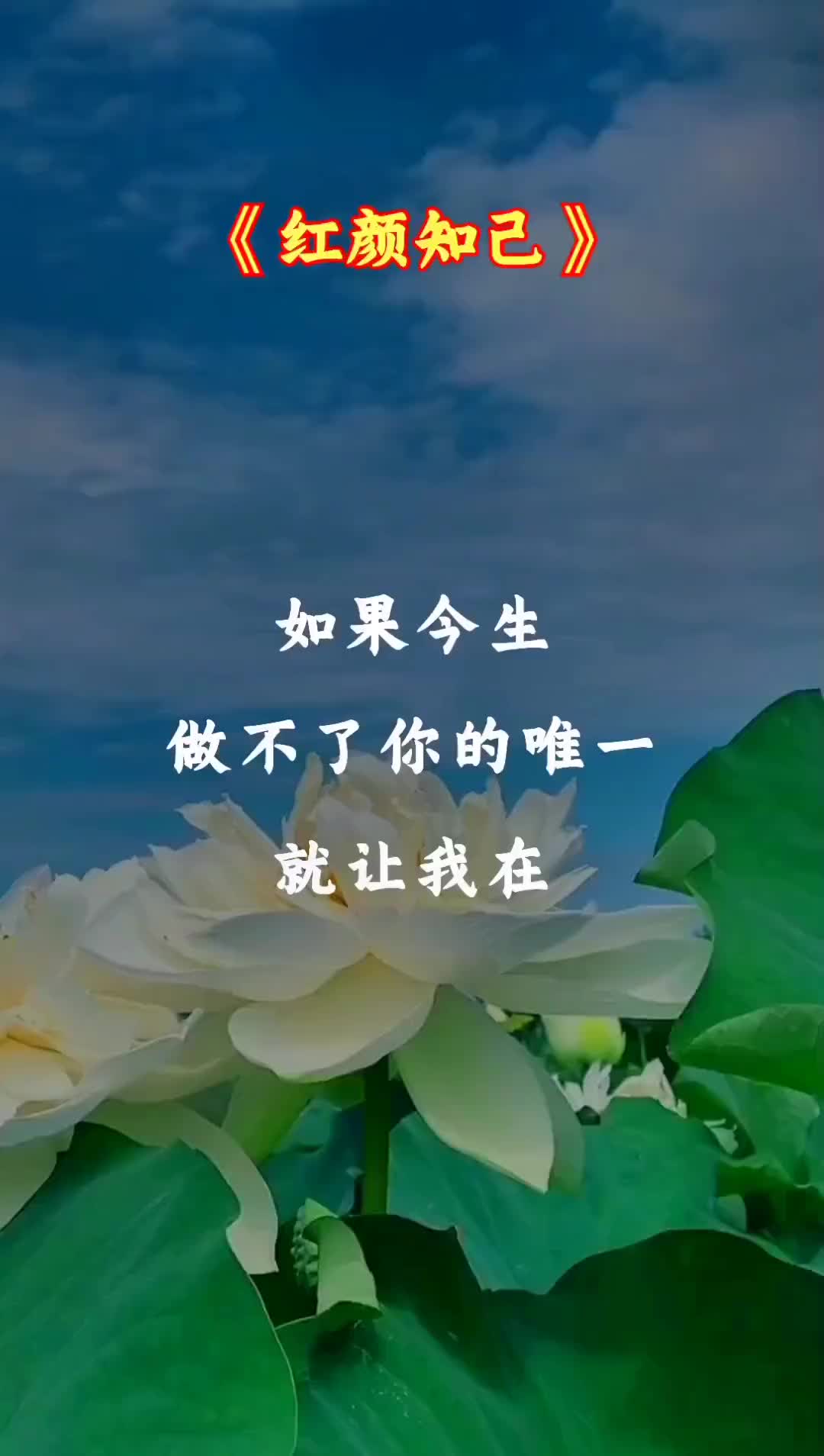 创作灵感红颜知己音乐热门音乐