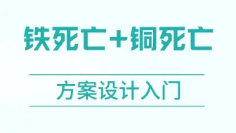 铁死亡，铜死亡，实验方法，课题设计，实验原理
