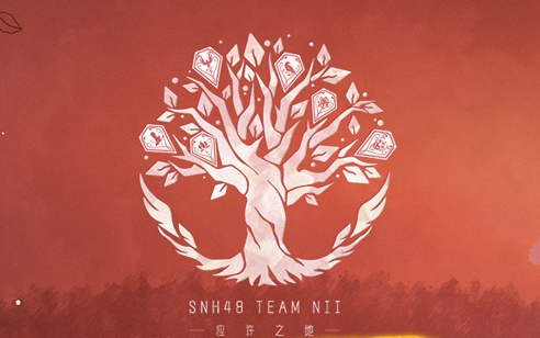 【snh48】team nii《应许之地》公演 20230713