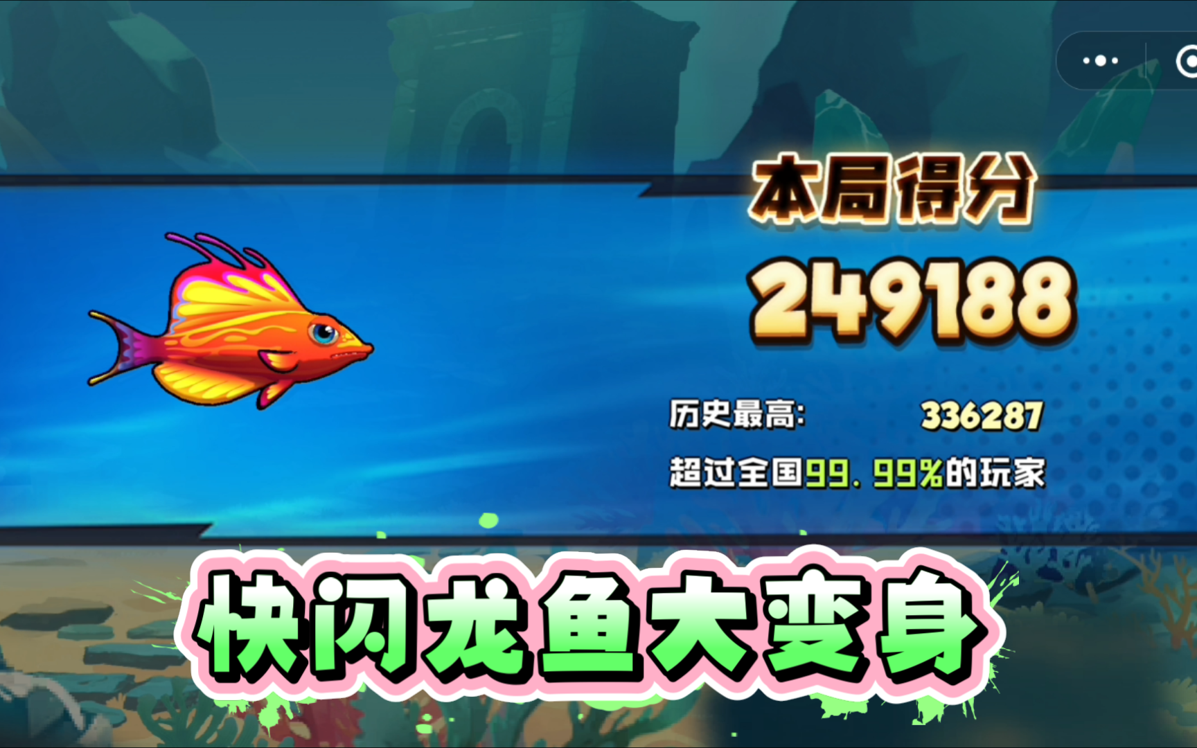 【鱼吃鱼】地中海快闪龙鱼vs房角石