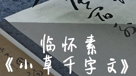 [图]临怀素小草千字文(三)