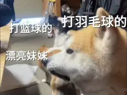 下载视频: 羽毛球圈现状