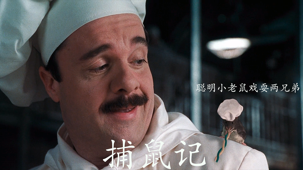 影视:聪明小老鼠戏耍两兄弟,两人想尽各种办法对付小老鼠都没用_哔哩