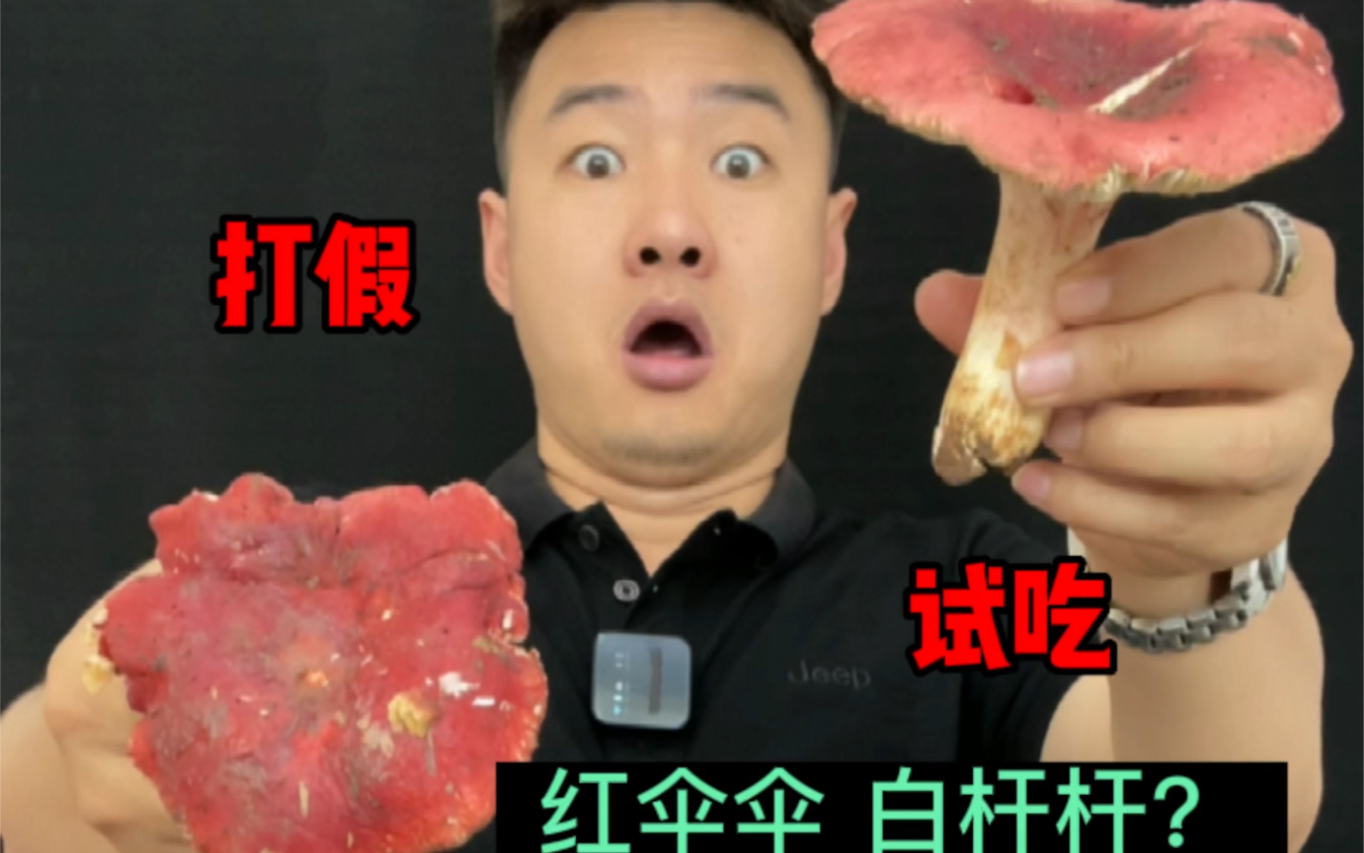 云南红伞伞 白杆杆 试吃哔哩哔哩bilibili