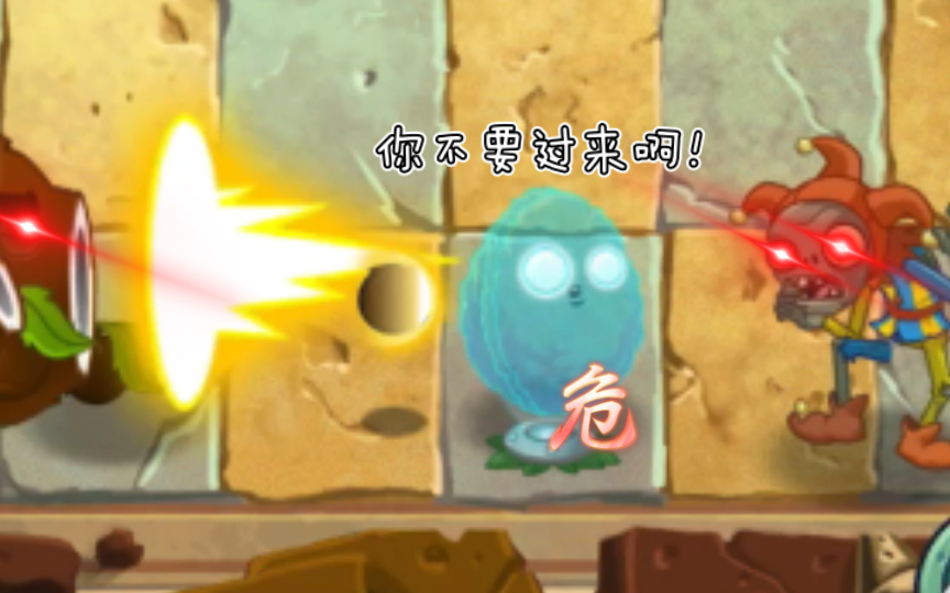 [图]硬“核”测试：各种坚果分别能抗下几发椰子加农炮轰炸？—PVZ2创意庭院