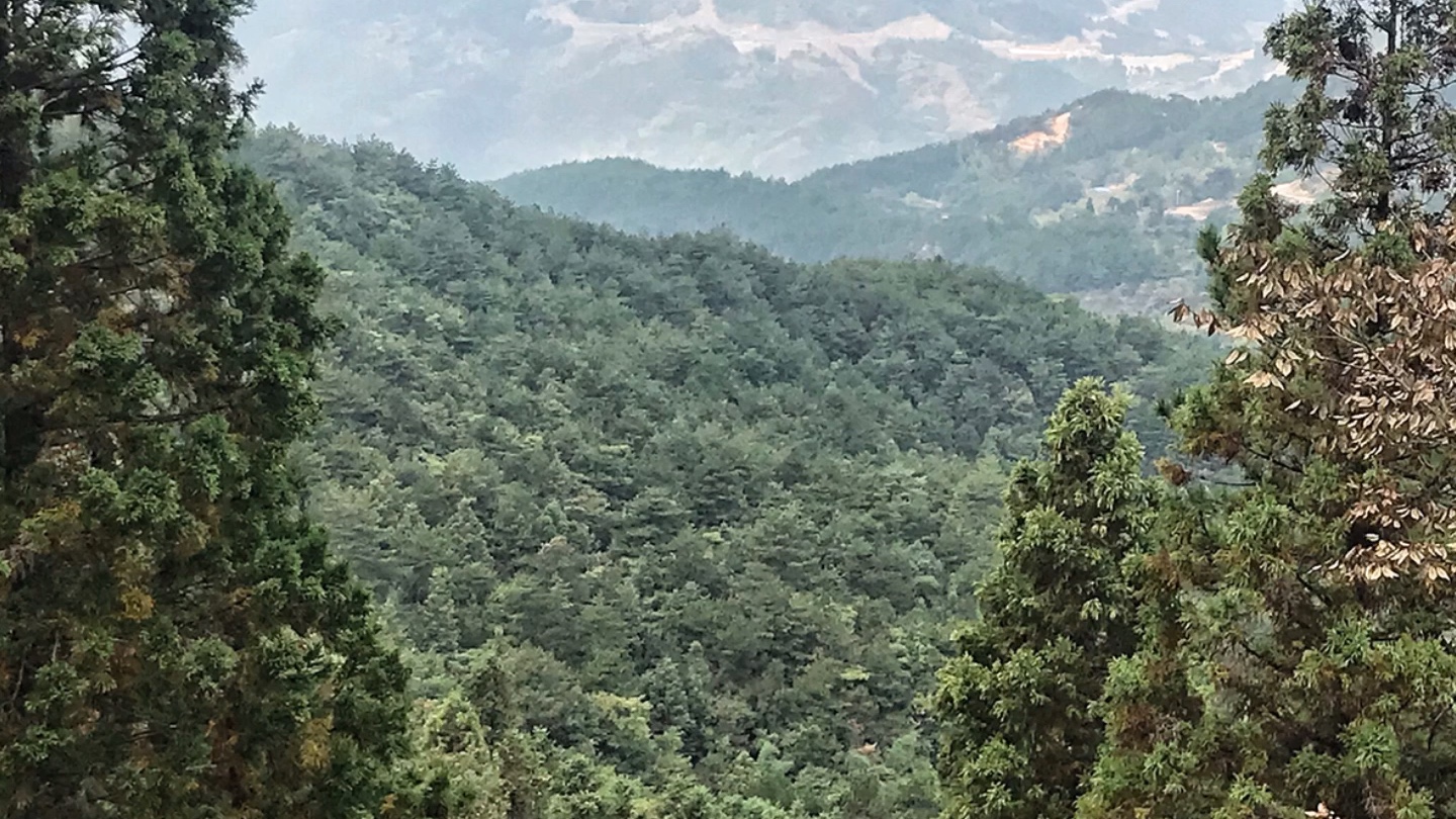 湖北大崎山一个适合徒步,休闲、发呆、放空的好地方哔哩哔哩bilibili