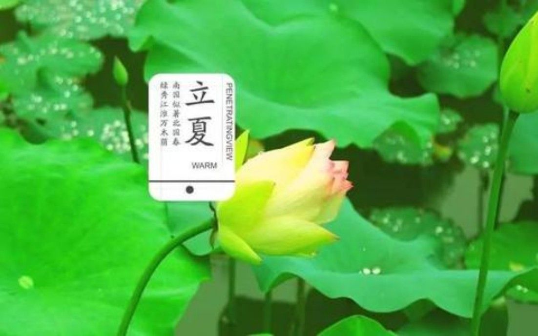 [图]【科普】 二十四节气７·立夏~