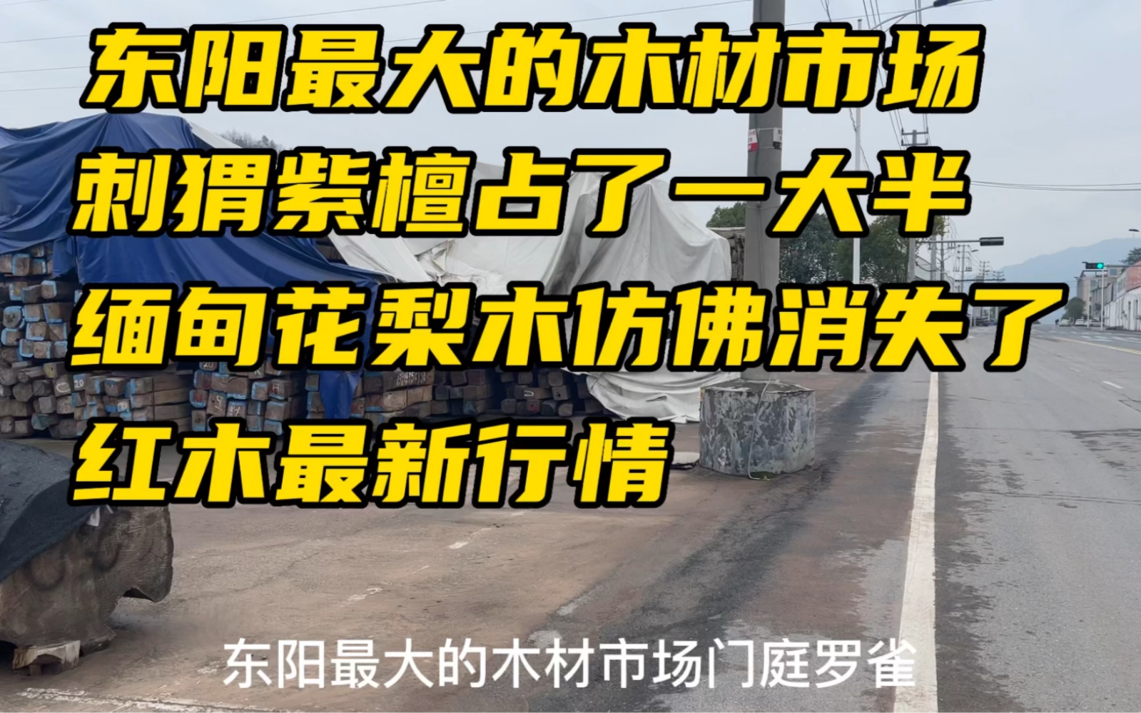 红木最新行情,东阳最大的木材市场,缅甸花梨木仿佛消失了哔哩哔哩bilibili