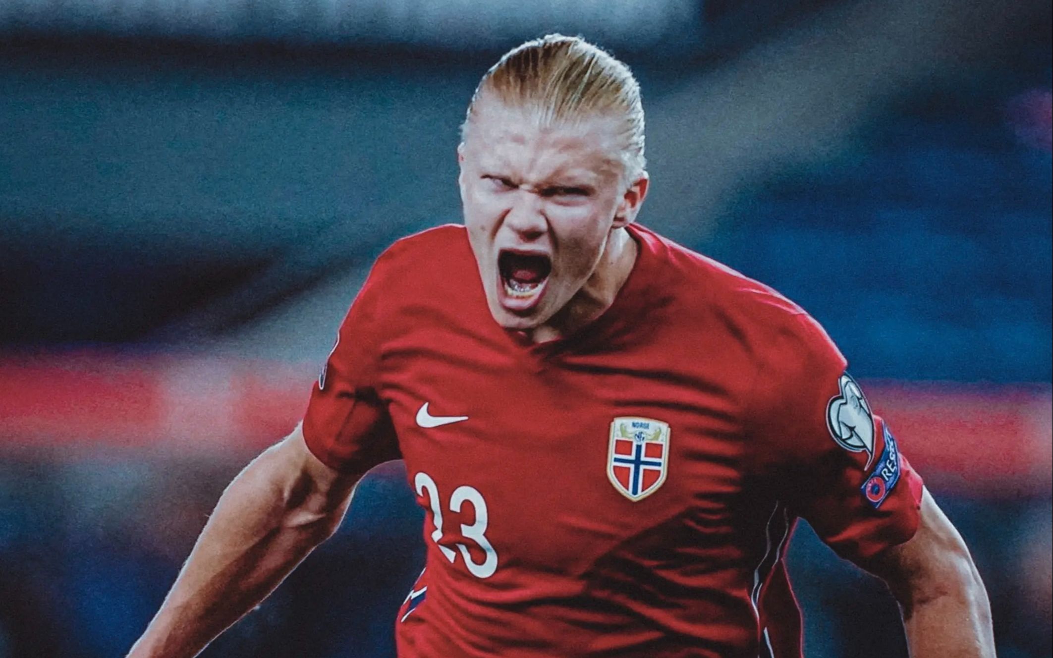 所到之处,寸草不生!