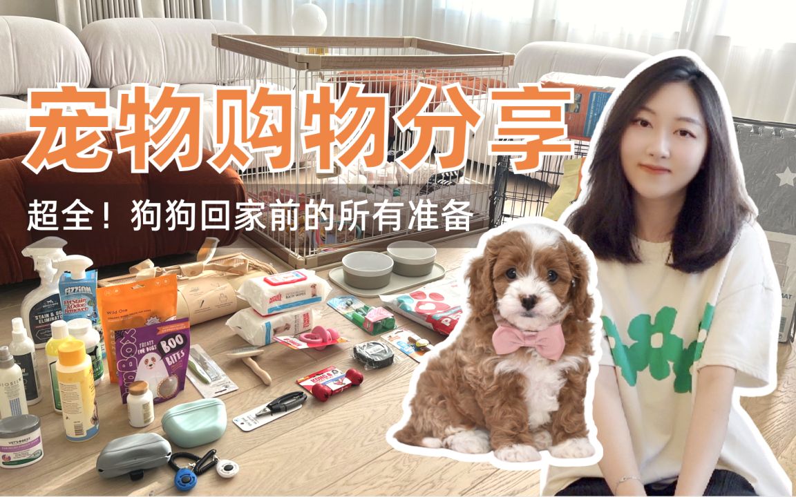 宠物购物分享|史上最全 98狗狗回家前需要做的准备|我们终于要养