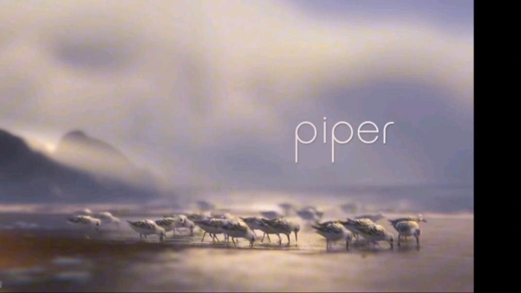 piper鹬观后感图片