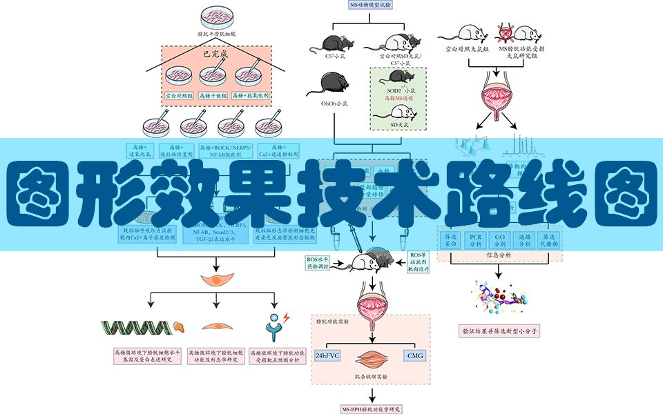 【PPT教学开题报告】科研绘图之论文图形效果技术路线图|流程图 科研标书写作指导 全网最全科研技术路线图的制作讲解哔哩哔哩bilibili