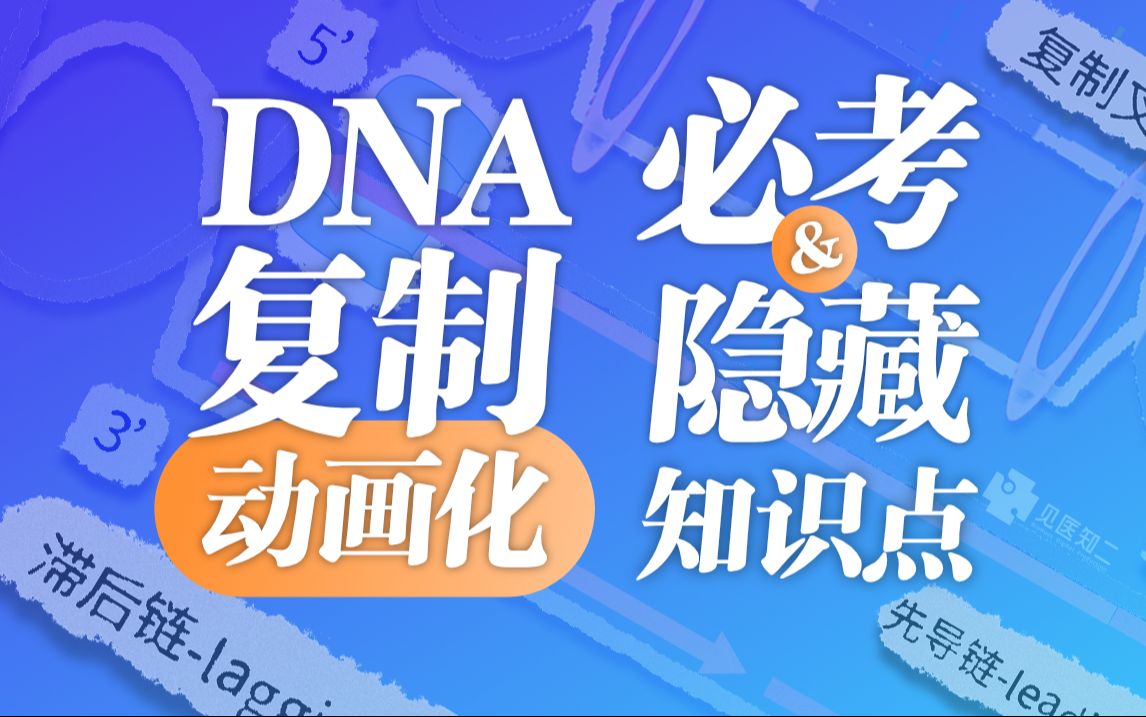 [图]【高中生物】DNA复制过程 - 终极原理动画