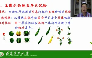 Download Video: 第四章 孟德尔遗传-第一节 分离规律-茶创2020级