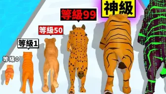 从可爱小猫到最强神级猫咪的成长过程！最后盖起超豪华动物园！