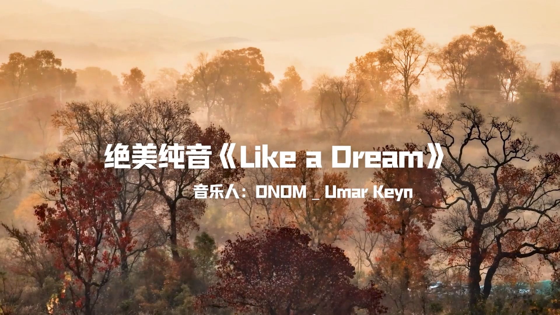 [图]【绝美纯音】《Like a Dream》天籁之音，绝美旋律，如痴如醉！