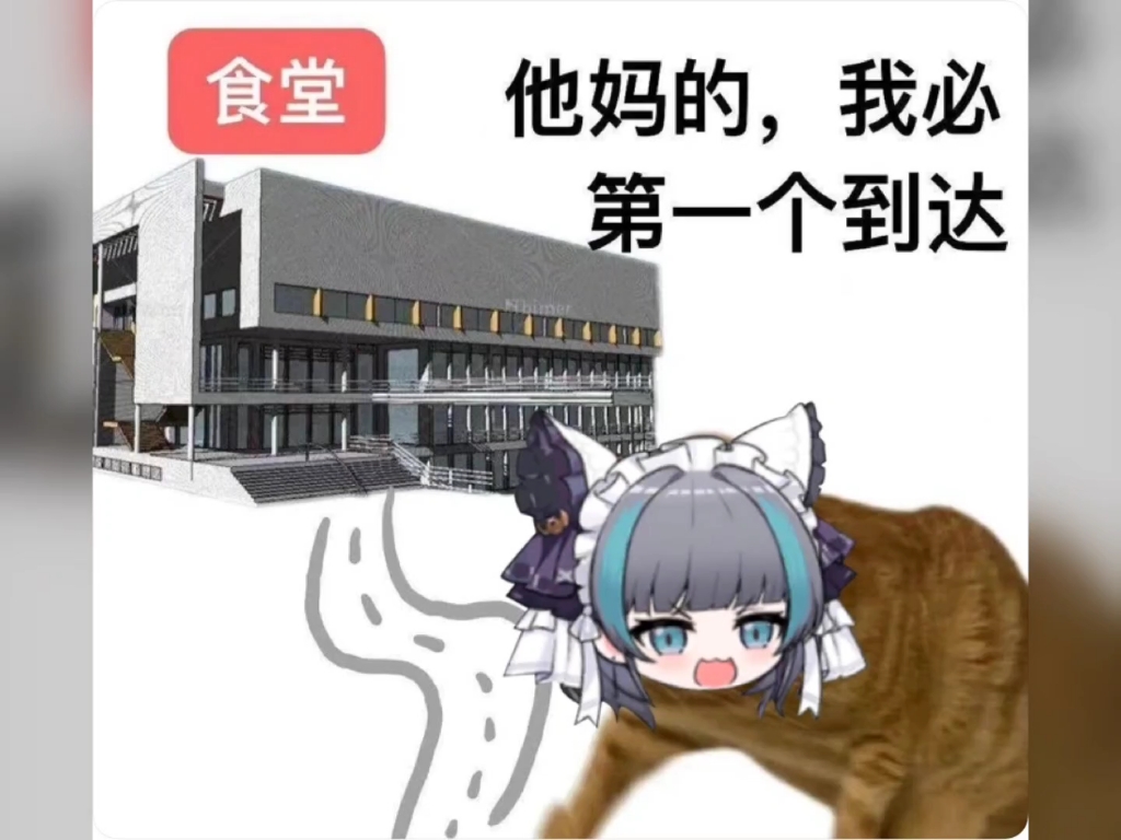 猫猫表情包哔哩哔哩bilibili