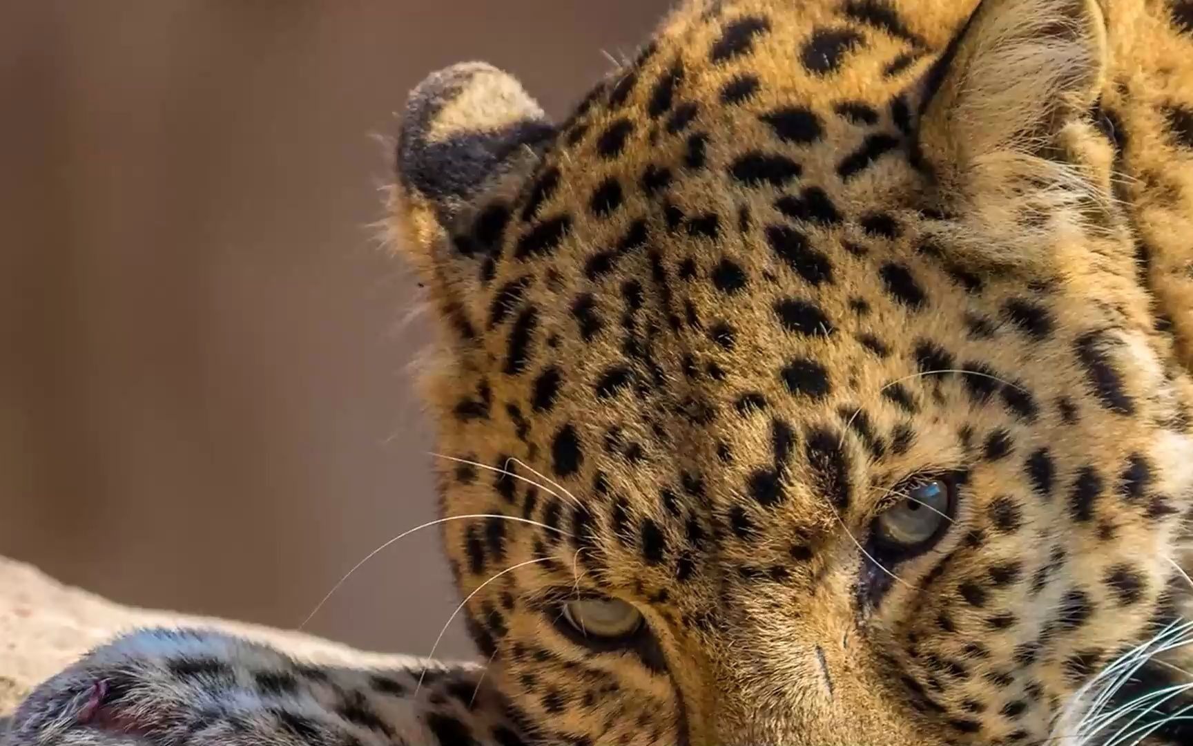 玄空风水学徐丙昕