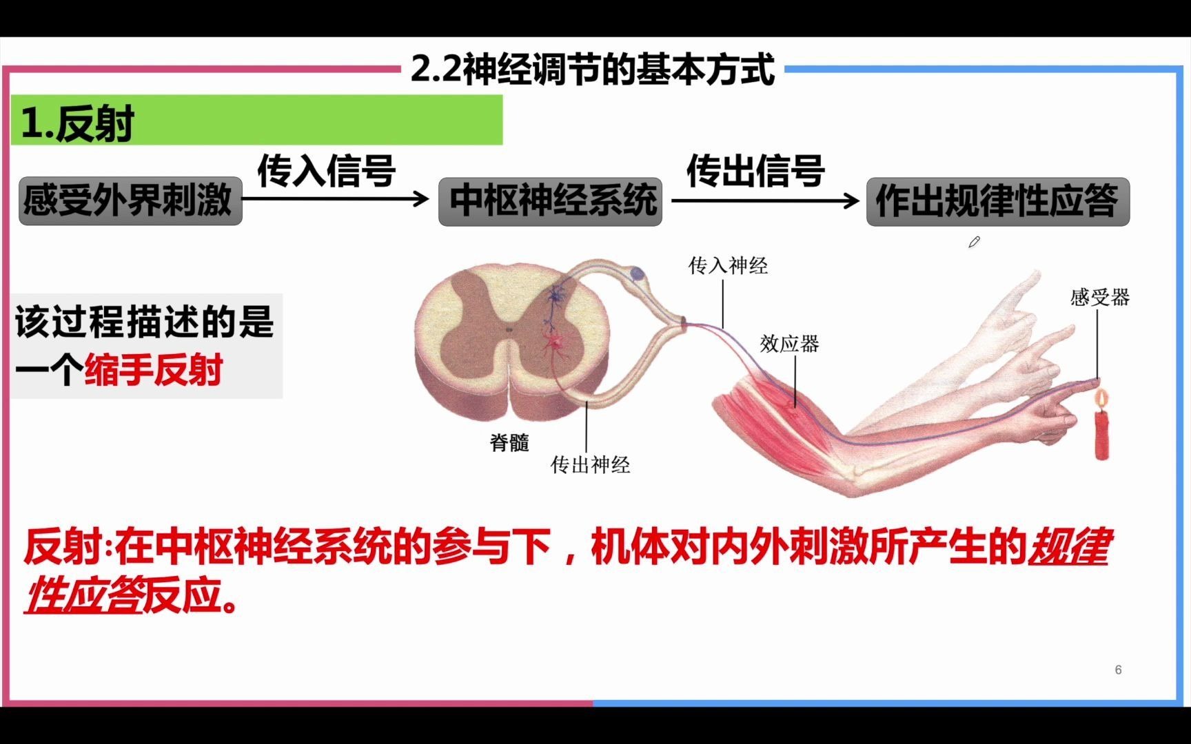 [图]2.2神经调节的基本方式 高中生物学选择性必修1网课新课改新高考新教材稳态与调节