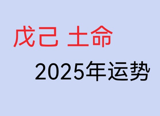 戊己 土命 2025年运势哔哩哔哩bilibili