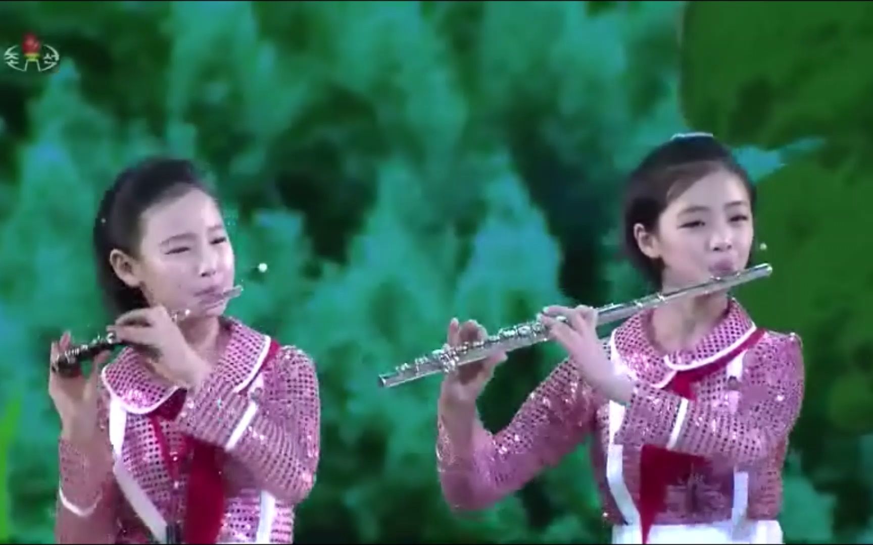 [图]朝鲜音乐：鸟儿在歌唱（平壤学生少年宫 2019）