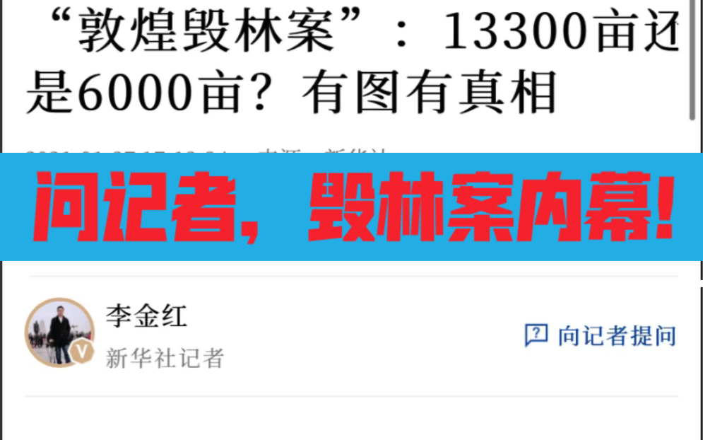 问经济参考报记者,敦煌毁林案真相!哔哩哔哩bilibili