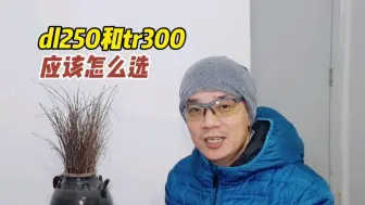 同是两万七千多，选铃木dl250三箱版还是tr300旅行版，有什么区别