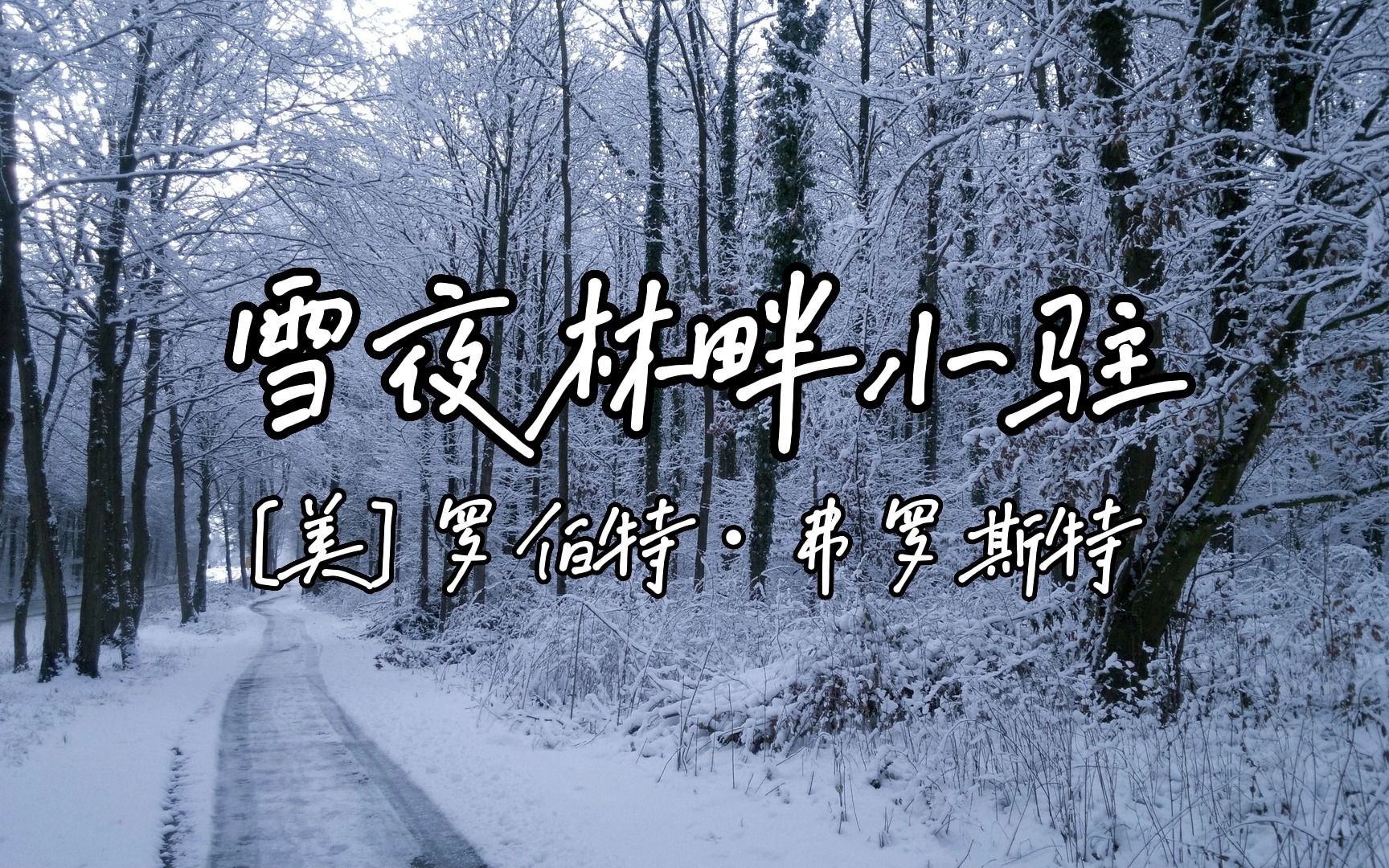 [图]【LiaChannel】读书：罗伯特·弗罗斯特《雪夜林畔小驻》