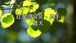 红花会贝贝  只手遮天(带副歌)(1)哔哩哔哩bilibili