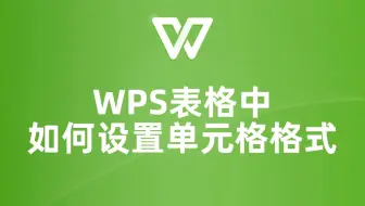 WPS表格单元格格式设置大揭秘！