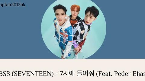 SEVENTEEN 韓国 FC 2期 Vocal TEAM 最高級のスーパー - tanjinkod.rs