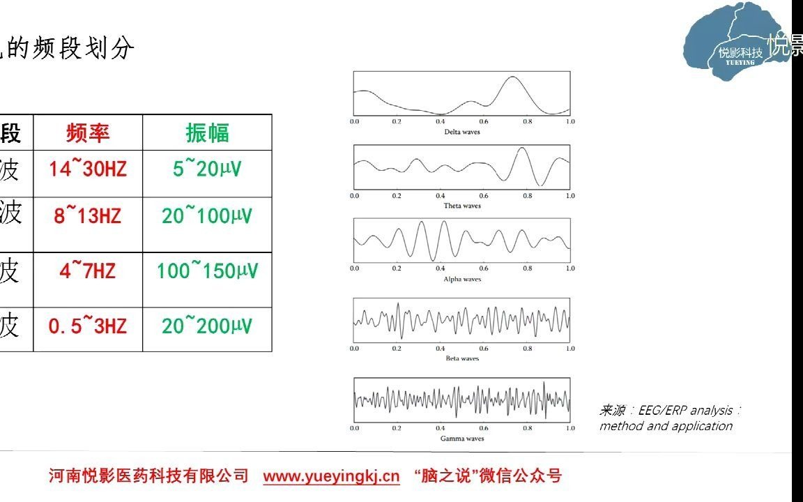 悦影科技EEG/ERP基础知识系列讲座第10讲:脑电信号的特征哔哩哔哩bilibili