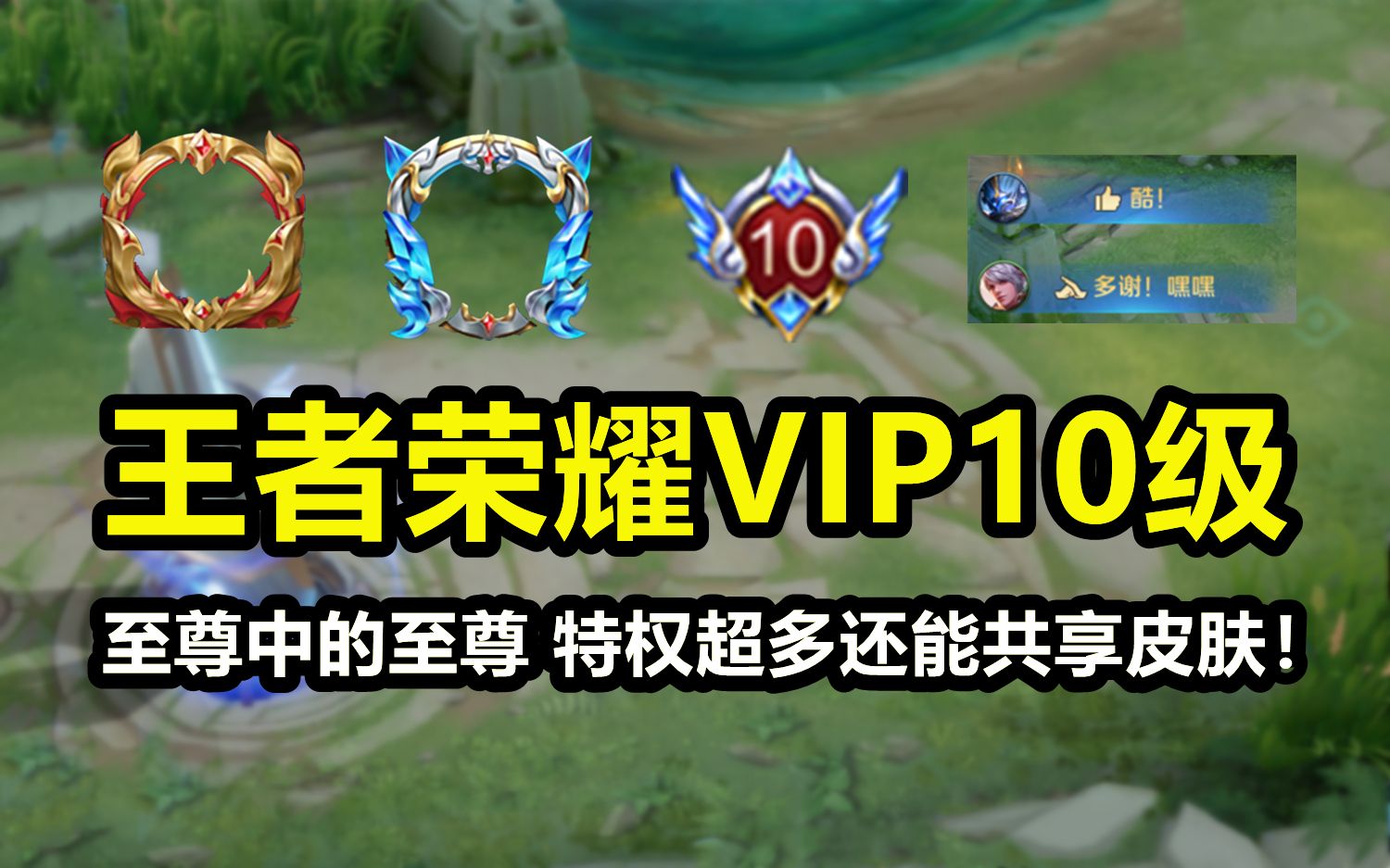 王者荣耀vip10级来了这才是真正的尊贵人群之中最闪耀