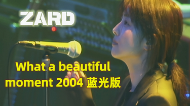 K-POP・アジア ZARD LIVE 2004 What a beautiful moment NEWS｜『ZARD LIVE 2004「What a beautiful moment Tour」Full