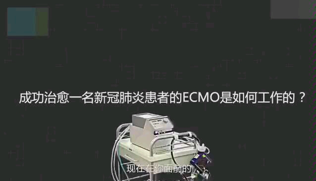 ECMO体外膜肺氧合哔哩哔哩bilibili