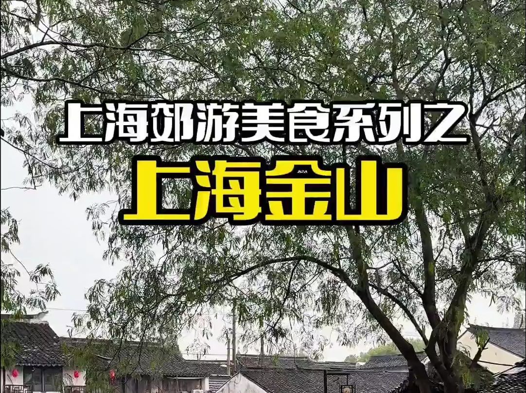 上海周末郊游之上海金山,一条视频告诉你哪些值得吃哔哩哔哩bilibili