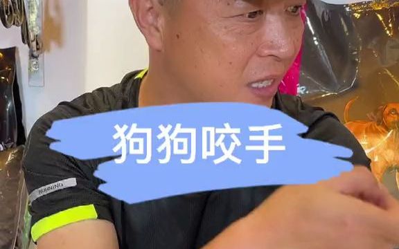 狗狗咬手怎么办?一招教你怎么解决哔哩哔哩bilibili