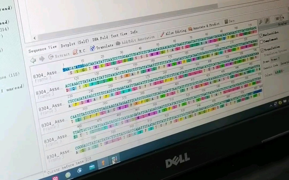 用Geneious软件检查序列,拼接序列,用Mesquite剪切序列,导出meg文件做 DNA barcoding gap哔哩哔哩bilibili