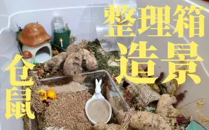 Download Video: 【仓鼠造景】整理箱颜值低？？？80cm整理箱自然风造景！