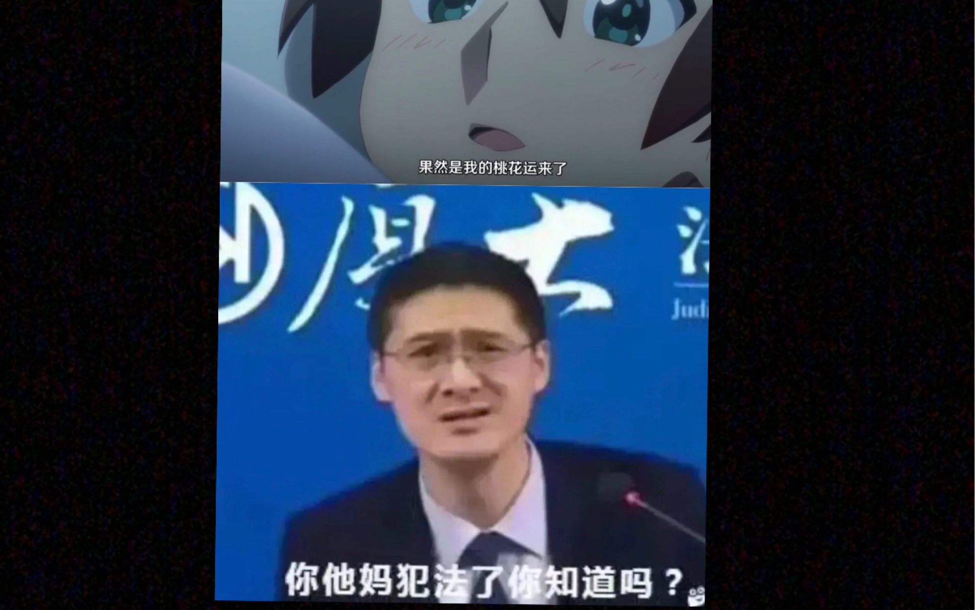 你他妈的犯法了表情图图片