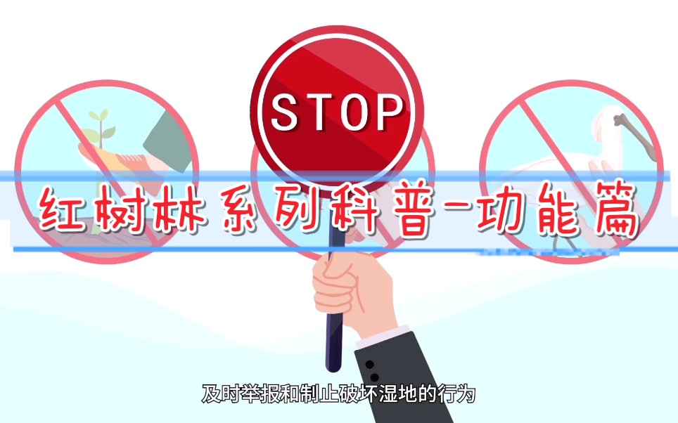 世界湿地日,让我们一起来保护红树林,保护野生动物的栖息地!哔哩哔哩bilibili