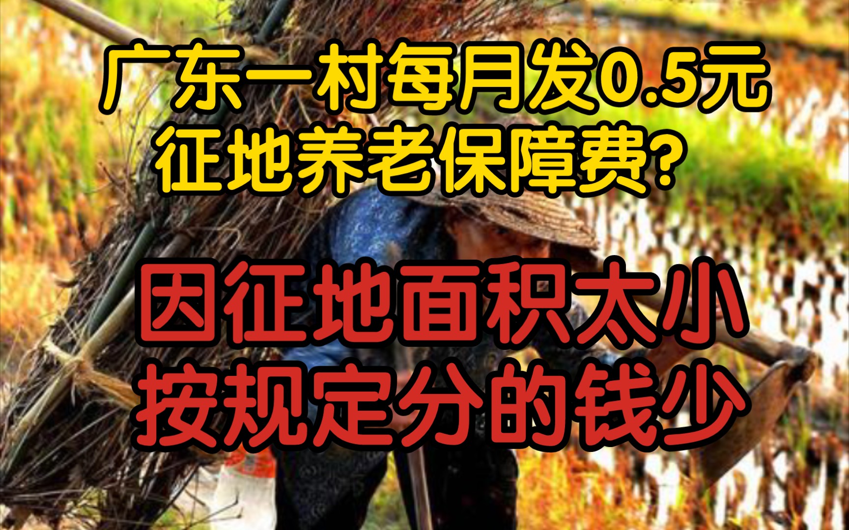 【前因后果】广东一村每月发0.5元征地养老保障费?因征地面积太小,按规定分的钱少!而且随养老保险一起发,未满60岁的可以找60岁的代领!哔哩哔哩...