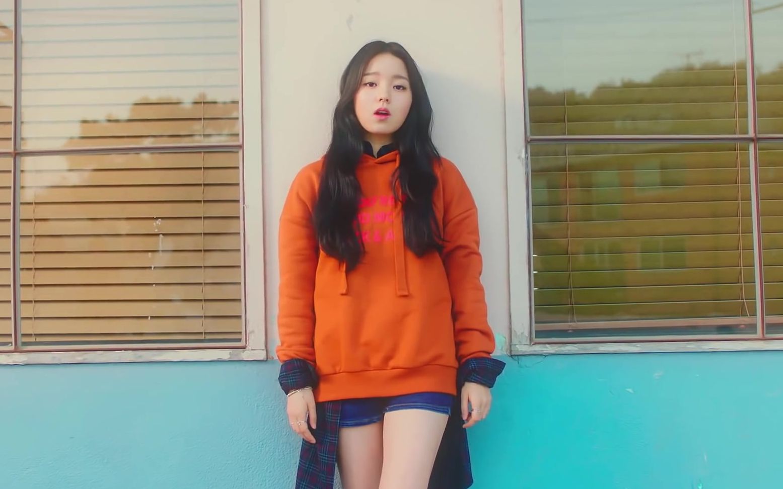 blossom flower(开花)mv高清hd.