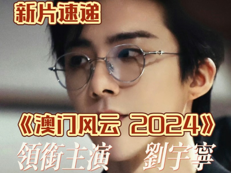 【澳门风云2024】刘宇宁 领衔主演哔哩哔哩bilibili