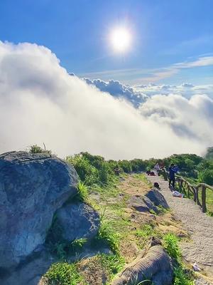 深圳梧桐山,不愧是广东天空之城,云海日出壮观极了,美到窒息!