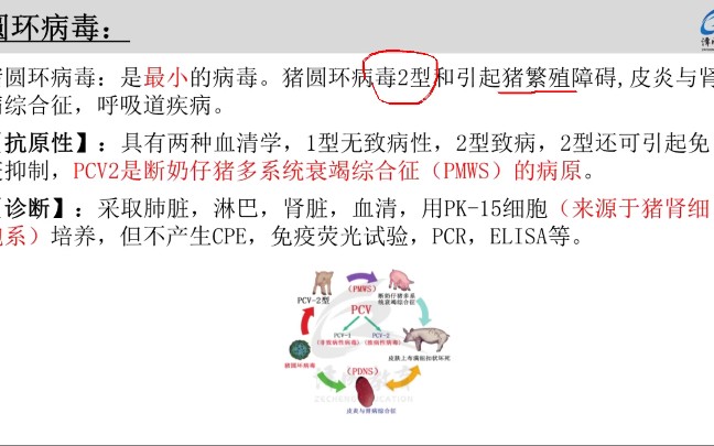 [图]2022执业兽医资格考试，考前抱佛脚班