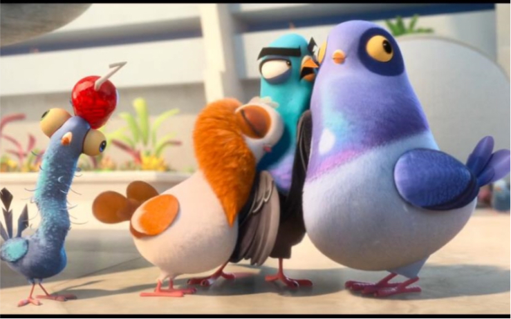 变身特工的鸽子cut