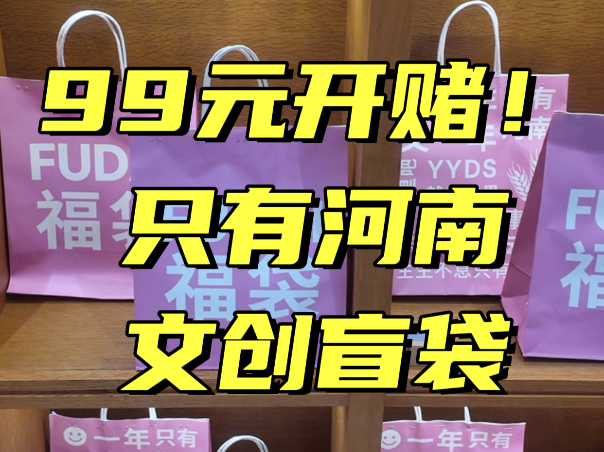 只有河南文创福袋 这次回本了吗哔哩哔哩bilibili