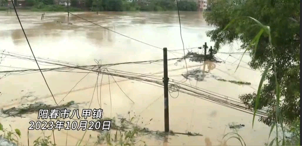 强降雨致八甲镇受灾严重哔哩哔哩bilibili