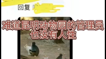 昆明动物园,承认自己做错了然后改正有这么难吗哔哩哔哩bilibili